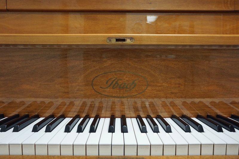 Close-up of Ibach piano keys